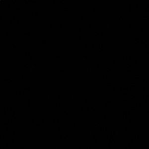 Meet your Posher, Bailey